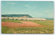 Cape Blomidon Look Off Nova Scotia Canada 1971 UNP Chrome Postcard