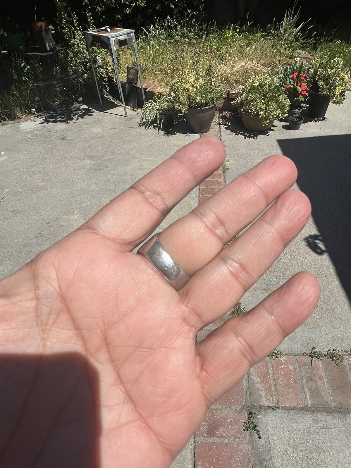 Picture 5 of 10
