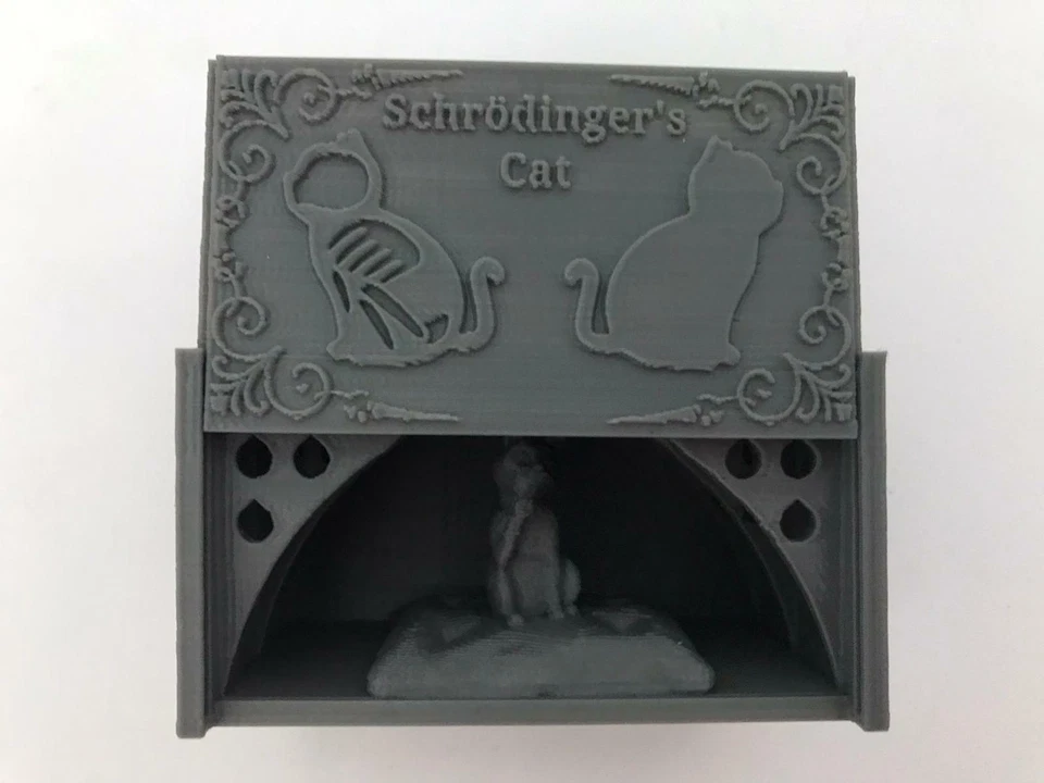 Apertura de Gato Schrödinger Modelo Único Adorno Física Regalo Su Pintable Foto 4 de 4