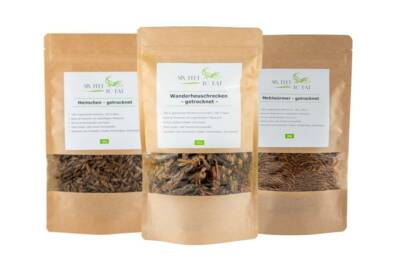 3er-Pack essbare Insekten, Heuschrecken, Heimchen, Mehlwürmer von catch-your-bug
