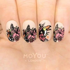 MoYou London Nail Stamping Plate Collections Manicure Pedicure Nail Art Tool