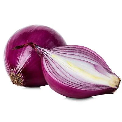 BACK TO NATURE SEED COMPANY Burgundy Red Onions - Seeds - Organic - Non Gmo - Heirloom Seeds