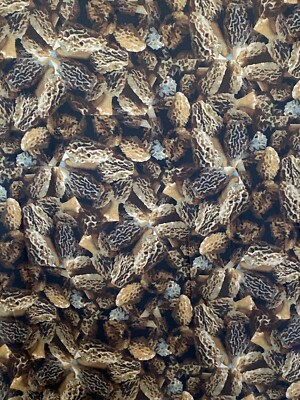 Peckerhead Camo Company Morel Mushroom 