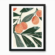 Lychee Close Up Illustration 2 Art  Framed Wall Art Poster Canvas Print Picture