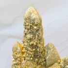 Foto 18 di 24