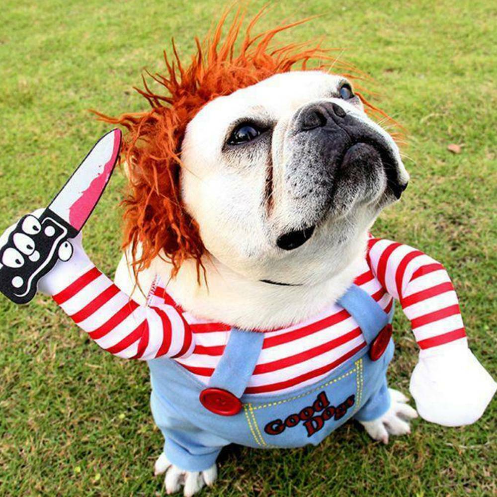 chucky outfit dog