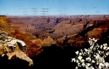 Final Lap to Grand Canyon National Park, 1960s Winter Postcard