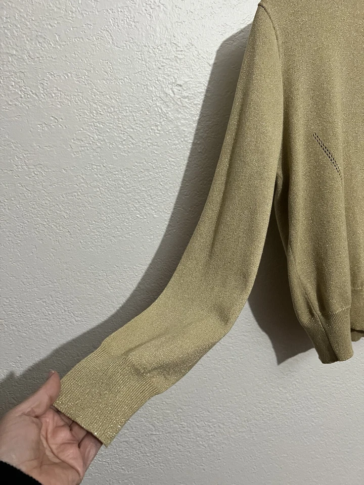 Hillard & Hannon Talla Med Brillo Dorado Doble Conjunto Capucha Suéter Corpcore Clásico Foto 4 de 4