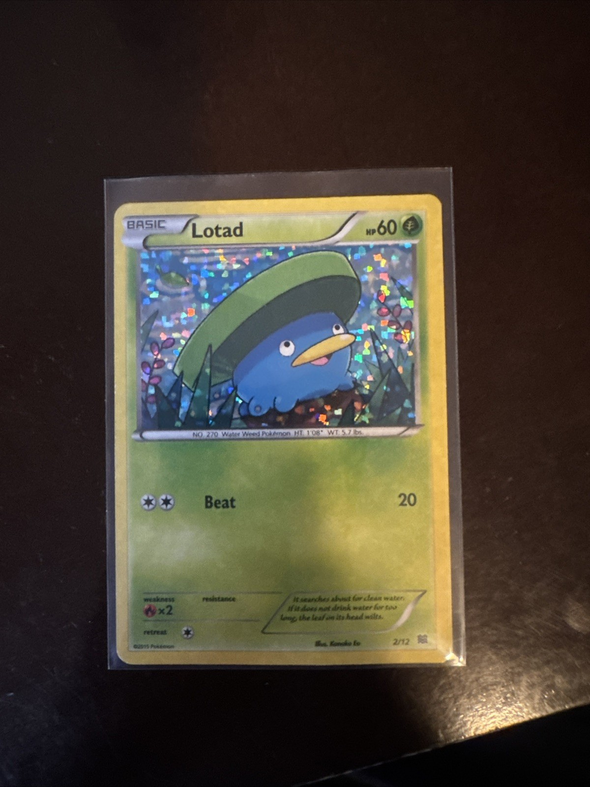 Lotad 002/012 McDonald's 2015 Holo