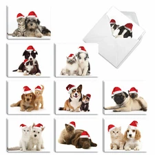 20 Christmas Thank You Cards (10 Designs, 2 Each) - Copy Cats AM6596XTG-B2x10