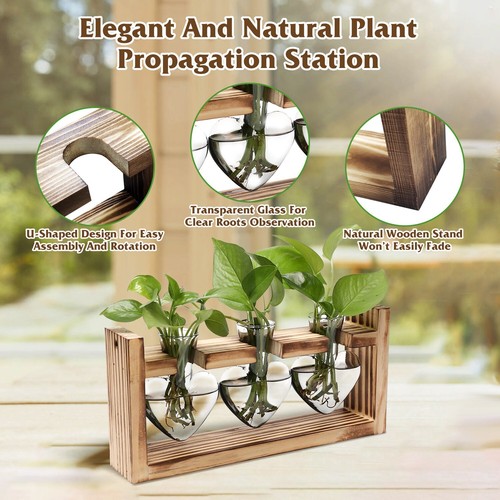 Glass Planter Bulb Plant Terrarium Station Air Planter Bulb Vase 3 Heart Shaped - Picture 3 of 10