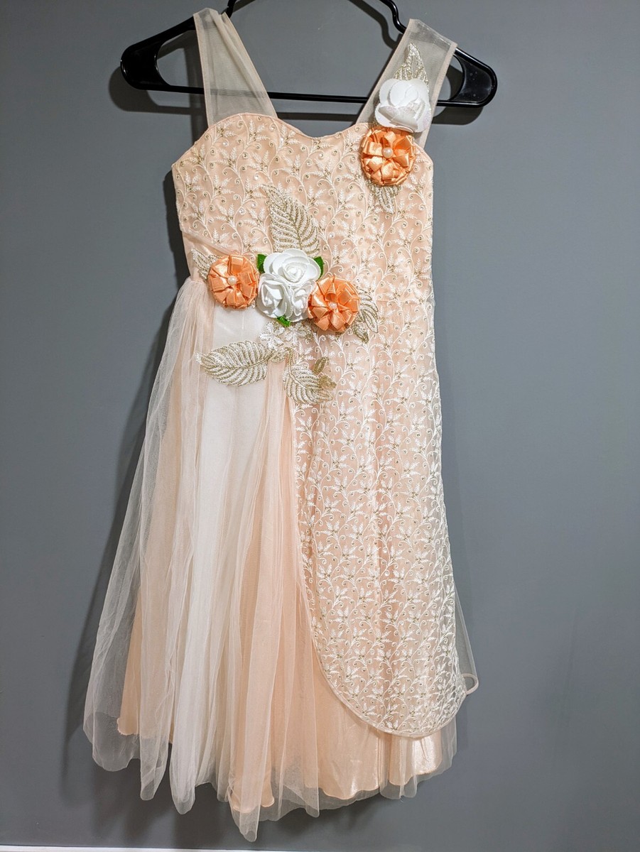 peach and gold indian dress Peach Embroidered Gown- Indian Clothing in Denver, CO and Aurora, CO- India Fashion X 4XL