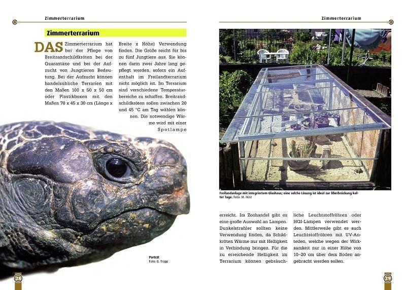 Thumbnail - Die Breitrandschildkröte Mario Herz 9783937285948