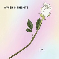 Cal | A Wish In The Nite | Taschenbuch | Englisch (2021) | Xlibris US