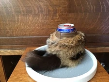 Can Holder~Koozie~12oz~Real Fur~Kit Fox~Leather ~Tail~Funny Gift~Hard To Buy For