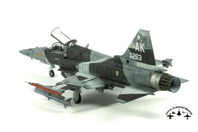 1/48 Freedom models 1/48 F-20 ''What-if'' - Pro built model (built and painted)