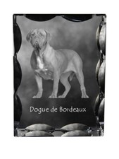 Bordeauxdogge, Dogue de Bordeaux - Cristal Avec Einem Hundebild, Glasstatuette M