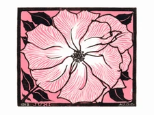 Pink Flower Julie De Graag Wall Art Print Framed 12x16