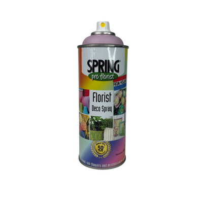 Spring from Holland Deco Floral Spray Paint 400ml - Perfect for Flowers and More