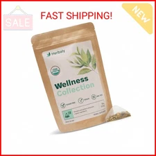 Herbaly Wellness Collection Organic Herbal Ginger Tea, 70 g, 28 Count Bag (Pack 