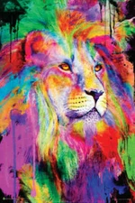 Rainbow King by Aimee Stewart - Non-Flocked Blacklight Poster 24" x 36"