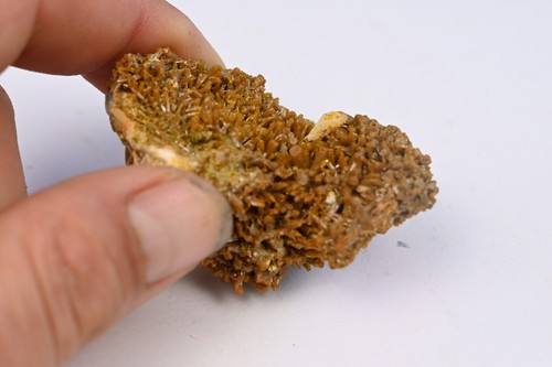 Pyromorphite du Farges france mineraux de collection Francais 90g - Imagen 3 de 6