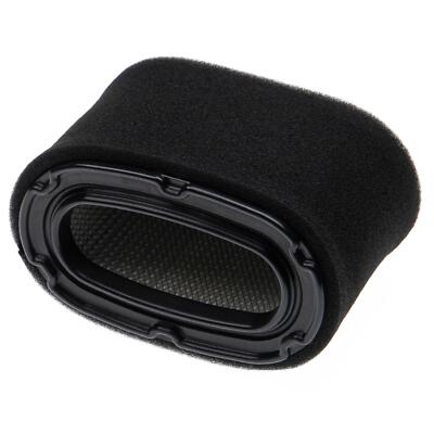 2 Filter Set für Honda 17218ZF5V00 17218-ZF5-V00 17211ZF5V01 17211-ZF5-V01