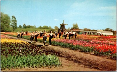 Tip Toe through the Tulips Holland Michigan Dancers Vintage Chrome Postcard A72