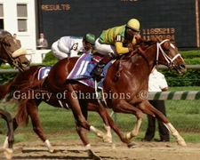 Charismatic 1999 Kentucky Derby Photo 8" x 10 - 24" x 30" 