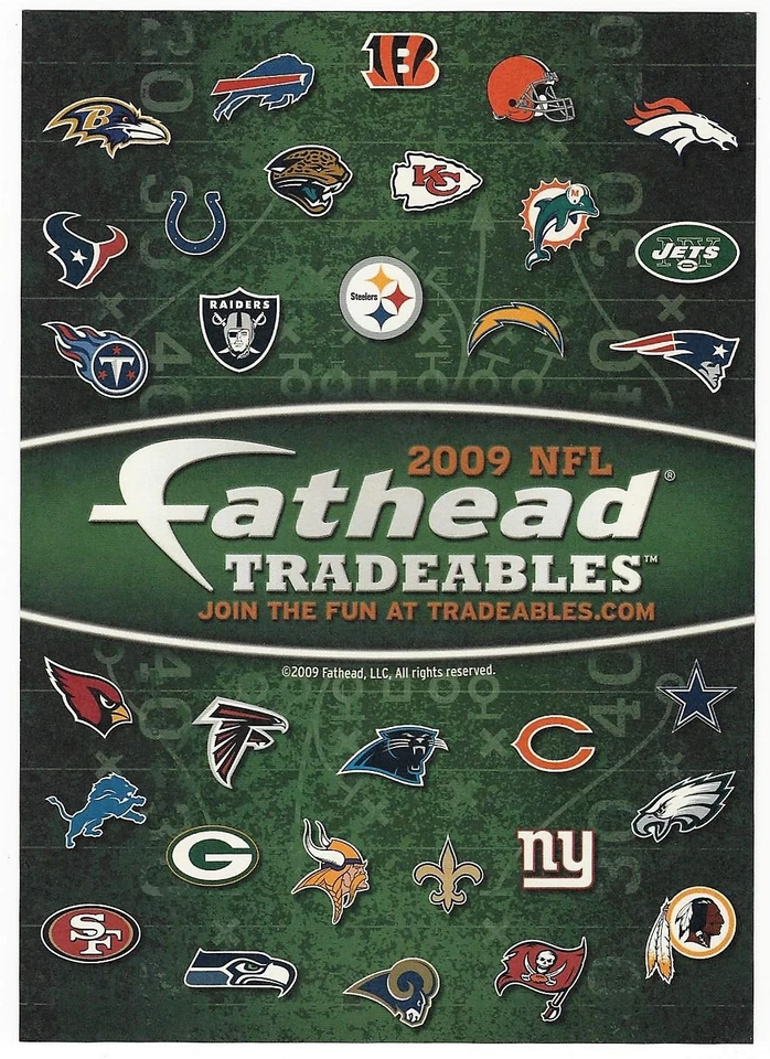 Braylon Edwards Fathead intercambiables Cleveland Browns Michigan Wolverines 2009 111 Foto 2 de 3