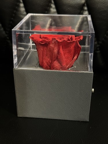 Mothers Day Gifts Preserved Red Rose with Necklace For Her Girlfriend Mom New - Picture 6 of 13