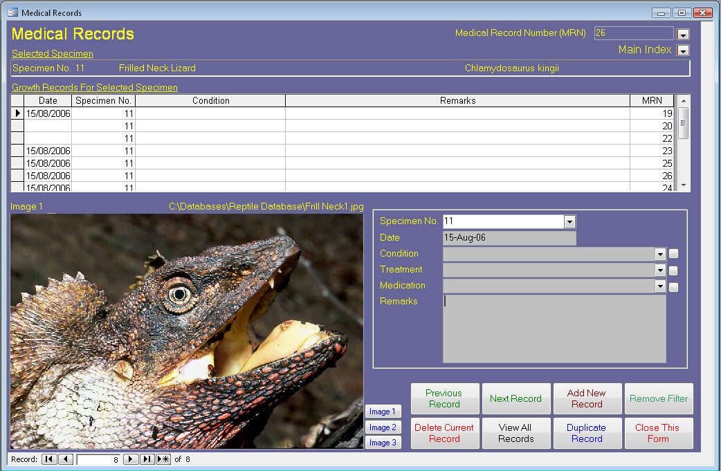 Imagen 3 de 5