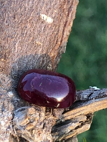 9.7crt Stunning Ruby cab from the mines of Tanzania - 第 6/13 張圖片