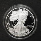 2016- *W* $1 AMERICAN SILVER PROOF EAGLE - COIN/CAPSULE ONLY - FREE SHIPPING!