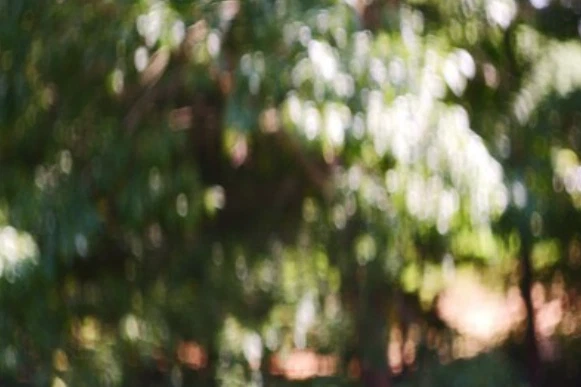 Petzval Modification Helios 44M f,2/58мм KMZ Soviet Lens Dreamy Swirly Bokeh M42 - Image 4 of 4