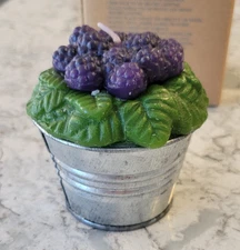 New Vintage Avon Berry Figural Candle Blackberry Christmas in Bucket Pail 1997