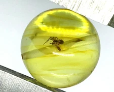 AMBER Insect Gift Round Bead Baltic DRILLED For Prayer Bracelet Necklace 13618