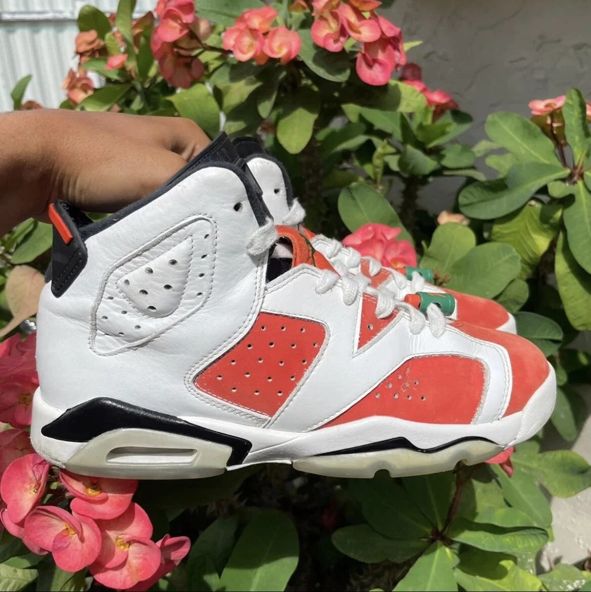 GATORADE AIR JORDAN 6 s eBay