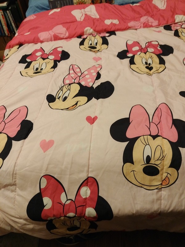 Minnie Mouse Super Cute Comforter For Twin Size Bed Reversible Looks Great!$9.75