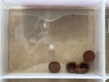 LEGO Parts - Reddish Brown Tile, Round 1 x 1 - No 98138 - QTY 5