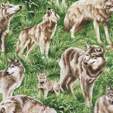 American Wildlife Wolves in Field 100 Cotton Fabric by The Yard
