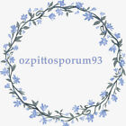 ozpittosporum93