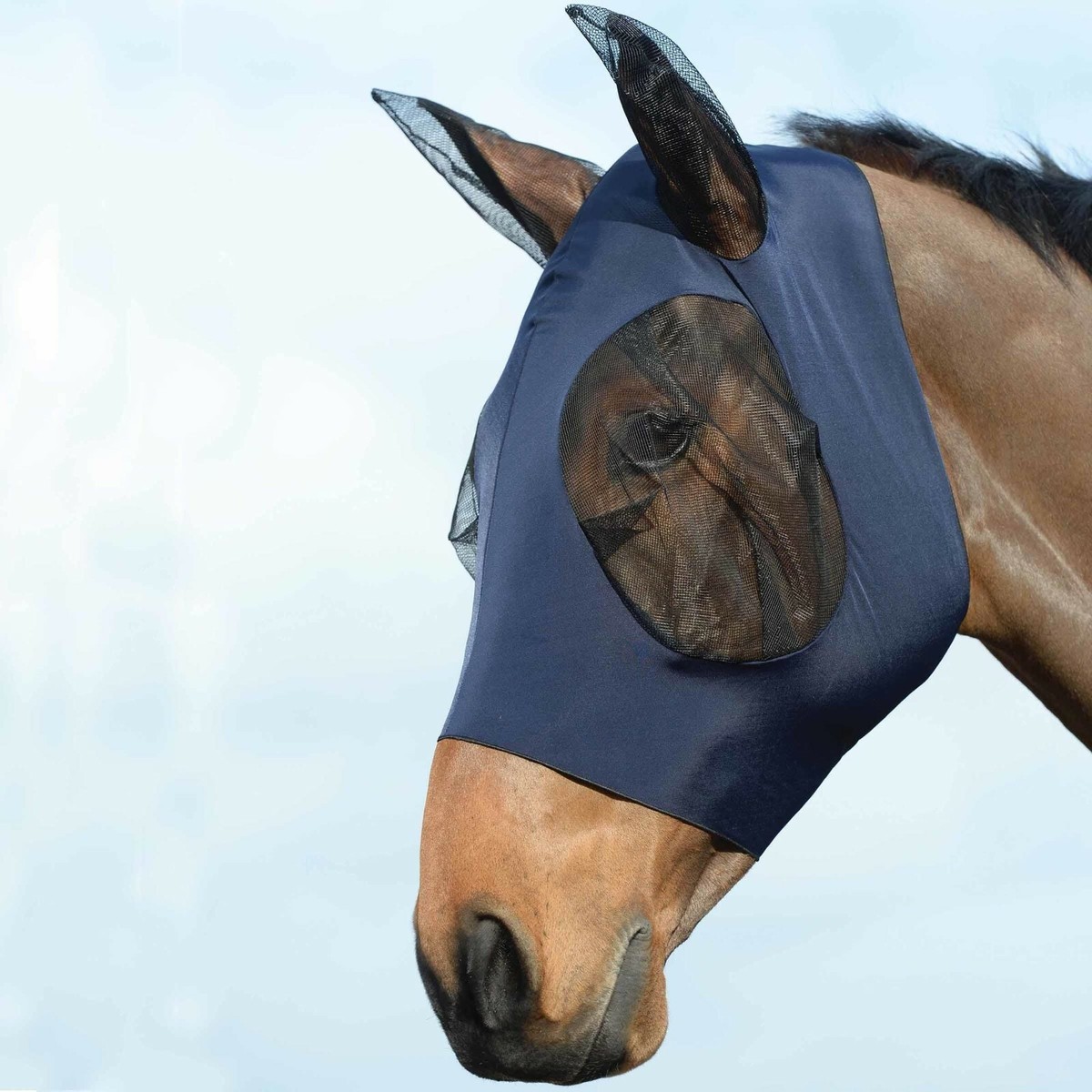 Weatherbeeta - Stretch Bug Eye Saver - Avec oreilles - Seahorse