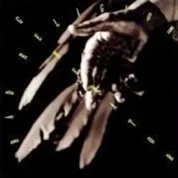 Generator | Bad Religion | Deutsch | Audio-Cd | Cd | 2009 | 375 Media Gmbh