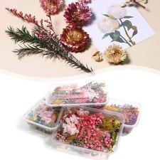Dr&uuml;cken Sie Ihre Kreativit&auml;t mit gemischten Trockenblumen Kerze Harz Epoxid DI