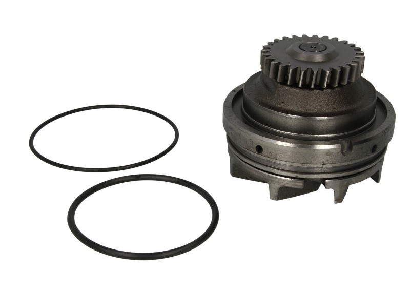 Fits THERMOTEC WP-RV115 Water pump WP-RV115 Water pump (cartridge) fi ⭐UK Stock⭐