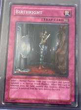 Yugioh! Birthright - 5DS1-EN040 - Common - Unlimited Edition English MP