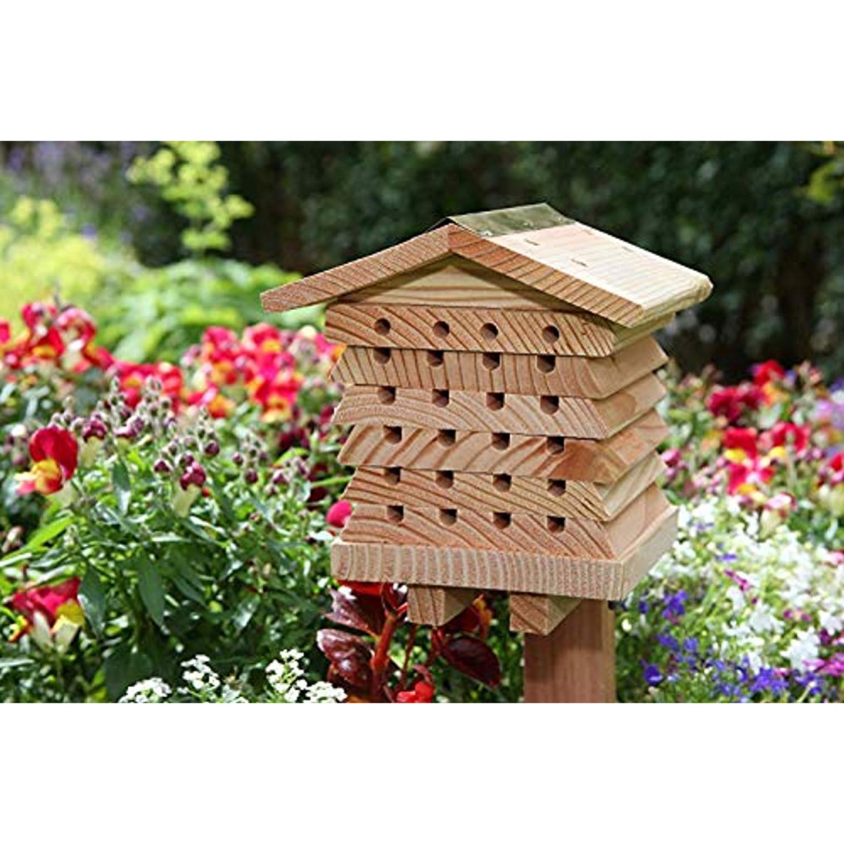 Actiasbee Cedar Solitary Bee House For Mason & Leafcutter Bees – Natural Wooden Hive With Removable Trays