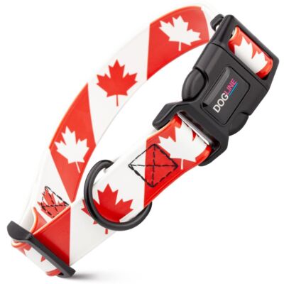 Dog Pet Canada Quick Release Printed Collar 3/4'' x 12'' - 19''