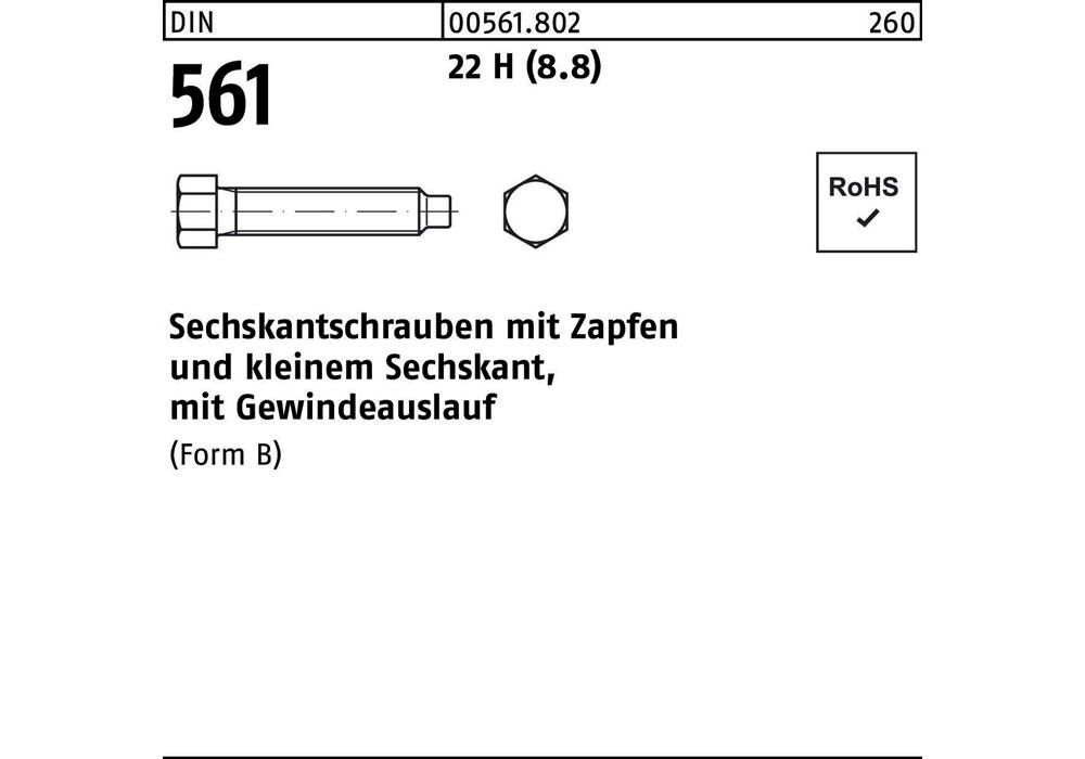 Рейхсканцелярия DIN 561 м.Zapfen BM 30 x 70 22 H (8,8)